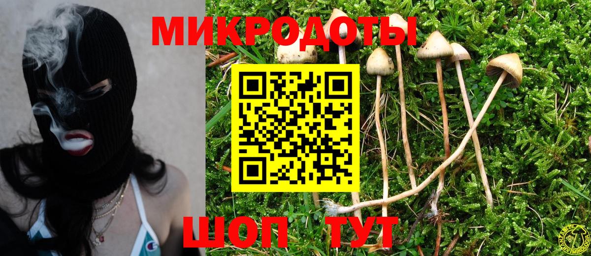Псилоцибиновые грибы ЛСД Богородицк