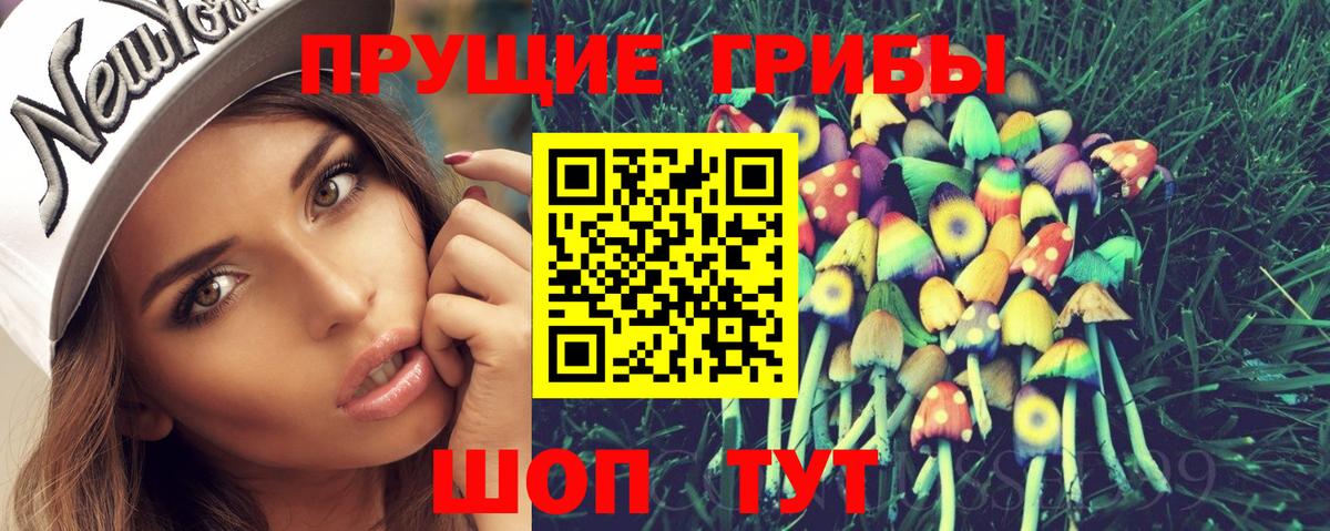 Псилоцибиновые грибы Psilocybe  Псилоцибиновые грибы мицелий  Вход с VPN  Богородицк 