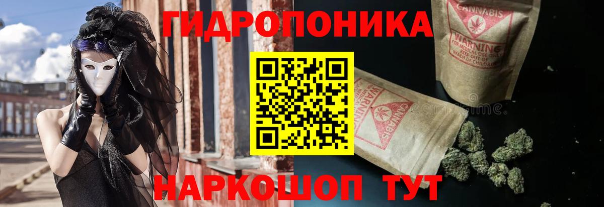 Канабис семена Богородицк